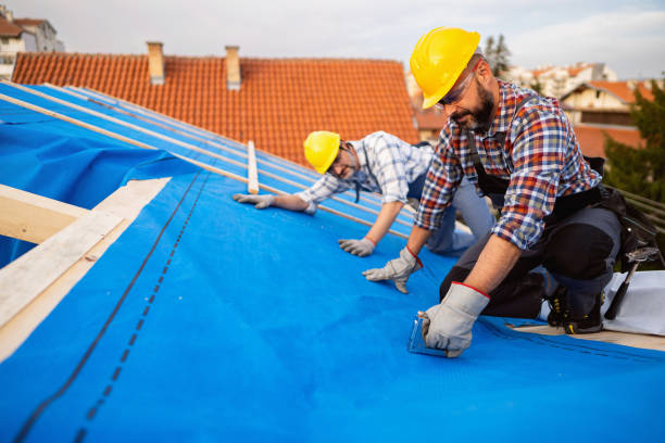 Best Roof Gutter Cleaning  in Malaga, NJ